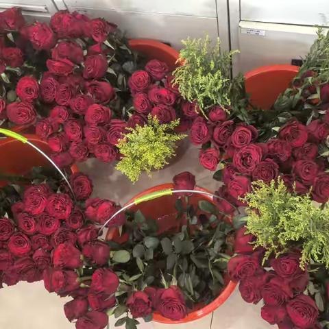 玫瑰传情，温馨女神节