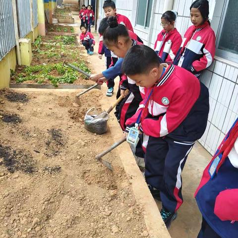 四（4）班从耕耘到收获的成长之旅