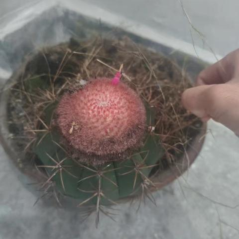 小行动，大改变——共建美好社区