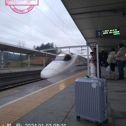图说我的2024 ——个人年度回眸