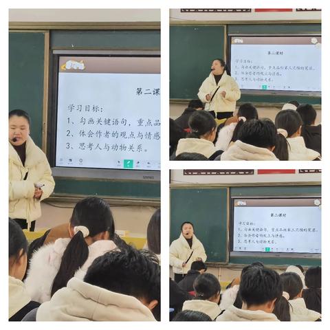 品《猫》中情味，悟生命哲思——陈小妹老师公开课精彩掠影