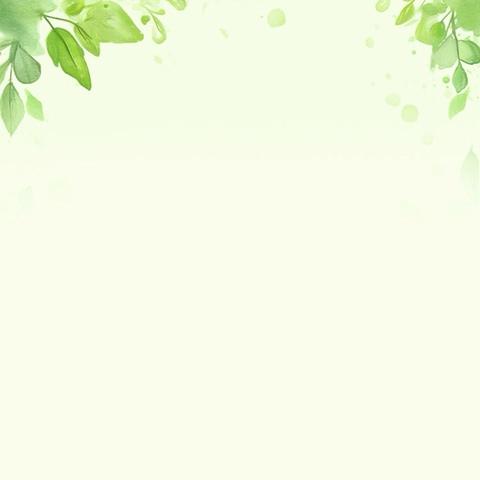 关于规范下午接送秩序的重要通知