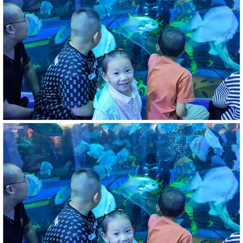 秋意渐浓，寒露已至