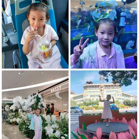 敦煌市幼儿园 班级，中十班，范文悦 老师，将老师，张老师