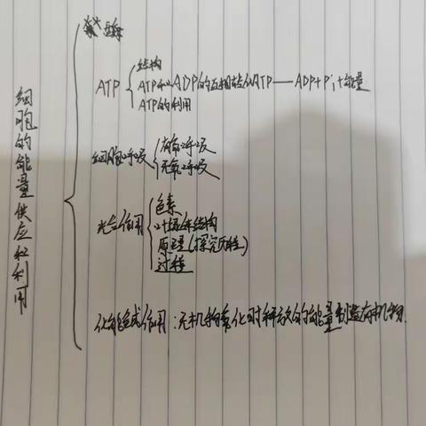 学业水平：画一个学科的思维导图