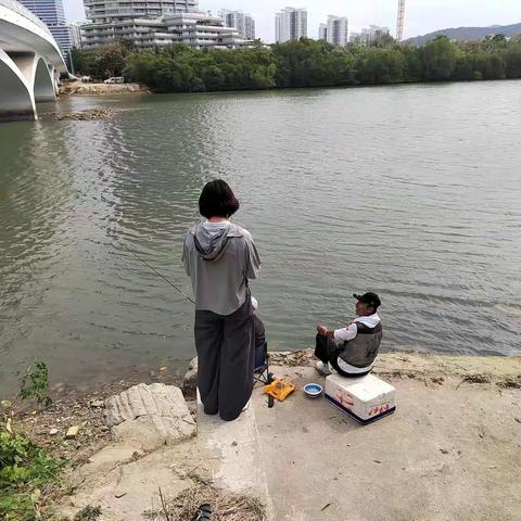 春园社区每日工作简报（2024年3月20日）