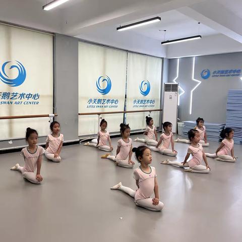 小天鹅艺术中心中国舞二级六月总结
