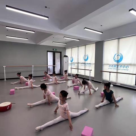 小天鹅艺术中心中国舞三级六月总结