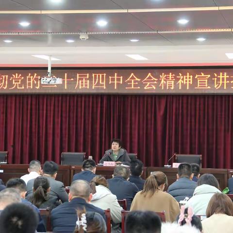 区委常委、副区长赵冬梅到智远街道宣讲党的二十届四中全会精神