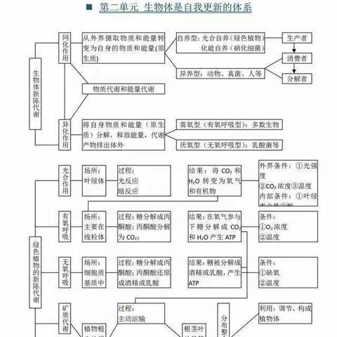 思维导图