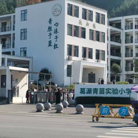 葛源青苗实验小学  美术与设计学院  程林芸