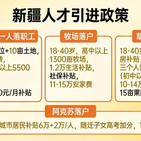 新疆人才引进政策