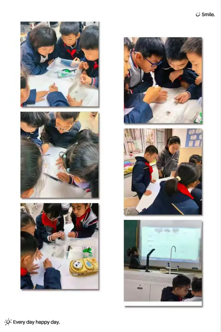 简篇-【灵美龙小˙校本教研】乡土资源赋能小学生科学观察与问题意识的实证研究系列活动一 ---龙小科学组校本主题研修系列活动(二)