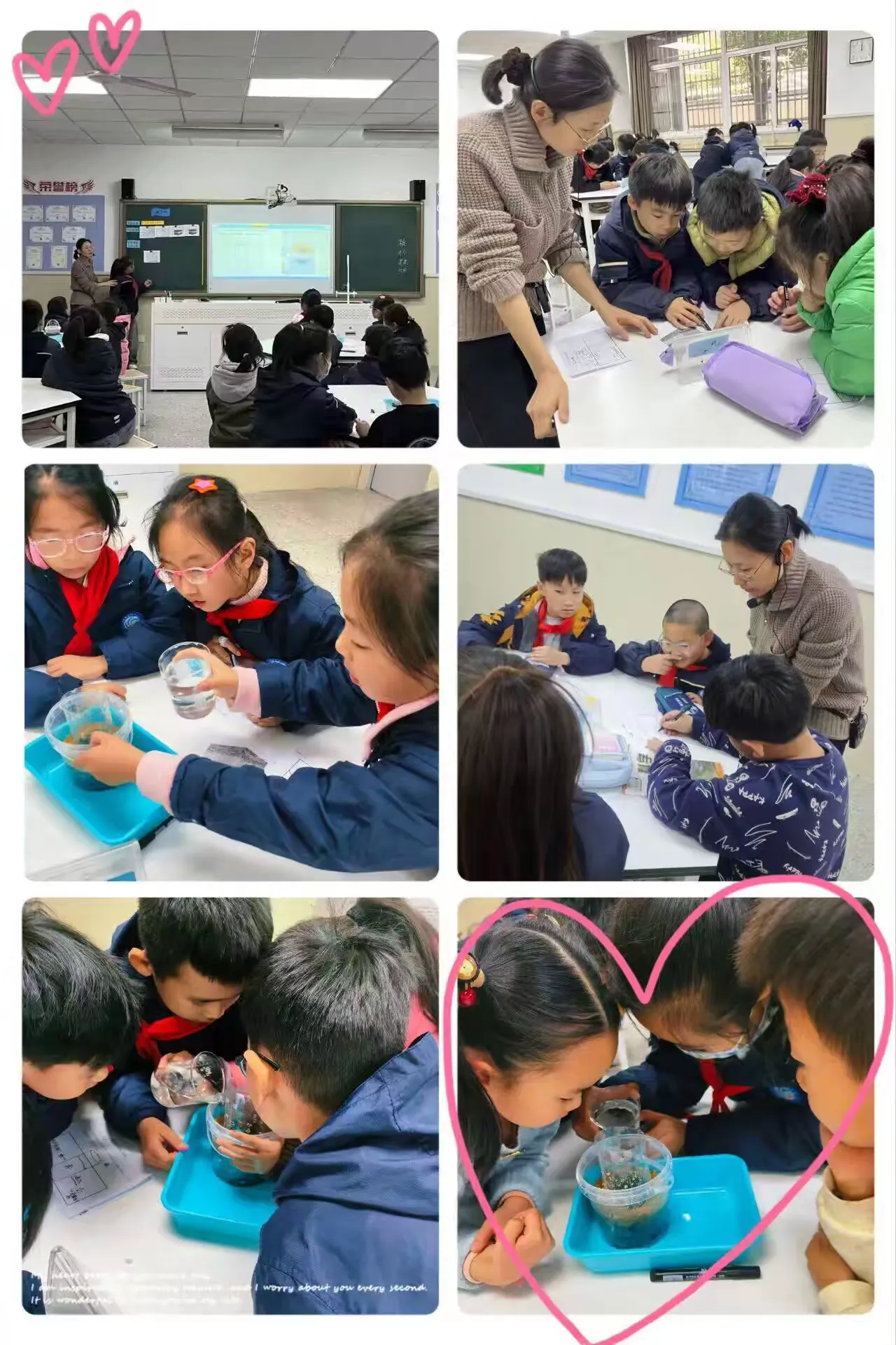 简篇-【灵美龙小˙校本教研】乡土资源赋能小学生科学观察与问题意识的实证研究系列活动二---龙小科学组校本主题研修系列活动(三)