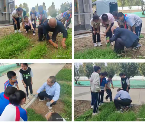 “韭”喜欢你——孙镇中心小学“童真·尚美”劳动自主课程展示