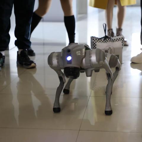 行走的大思政课｜椰城少年逐光行，科创结友艺韵长 —— 海口市英才滨江小学研学第二日纪实