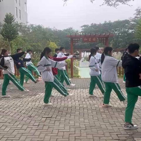 身心健康素养：表演武术操 高二（3）王晓芸