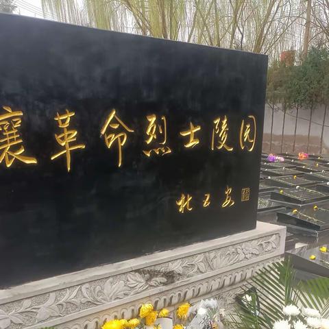 清明节文明祭扫倡议书  班级：374  学生：兰雅宁 辅导老师：张彦龙