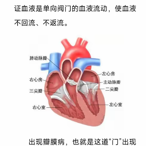 守护健康从认识心脏瓣膜病开始(1)