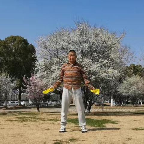 赏花中健身：一根臂力棒练起来！