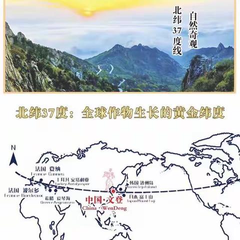 【附中学子这样过中秋】北纬37度，寻味之旅