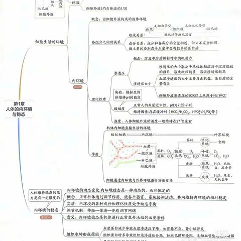 高一三李农发构建一张思维导图