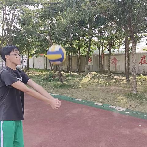排球