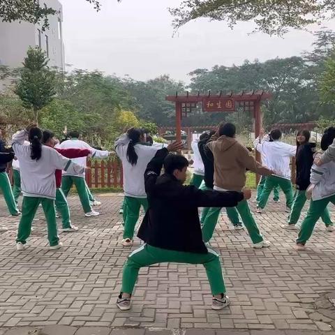 武术表演操