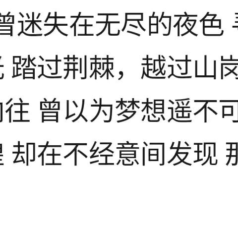 《逐光之旅》 （改编自朴树《平凡之路》）