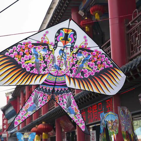 嘉陵区老年大学柔健班 ——第二课堂活动记录