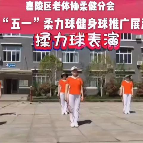 嘉陵区老体协“致敬劳动者”柔健分会“五一”展演社区推广