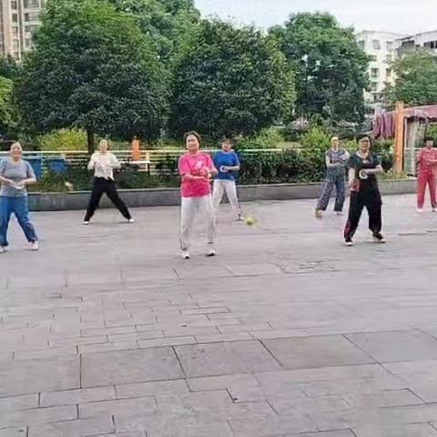 全民健身日：嘉陵区老体协柔健分会队员酷暑中的活动展演