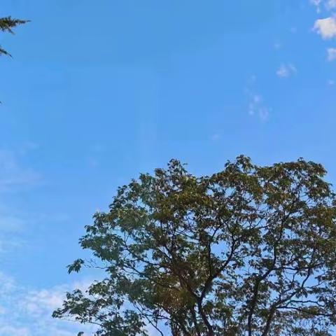 好的导课是成功的一半
