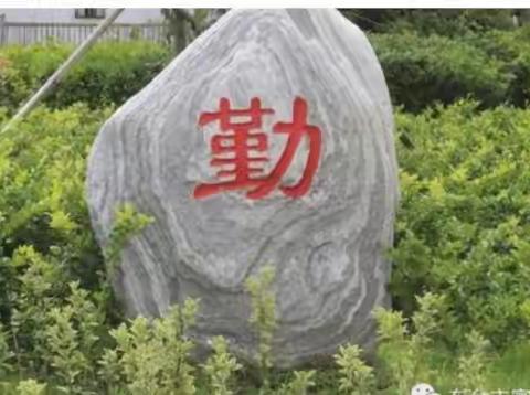 精研细思促成长，砥砺奋进谱新篇