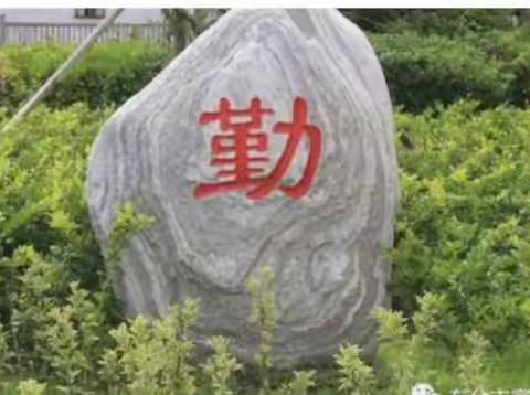 课堂展风采，教研促成长          ——历史组听评课教研活动