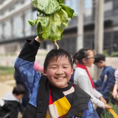 活力大通 | “食”之有味，“育”之有慧