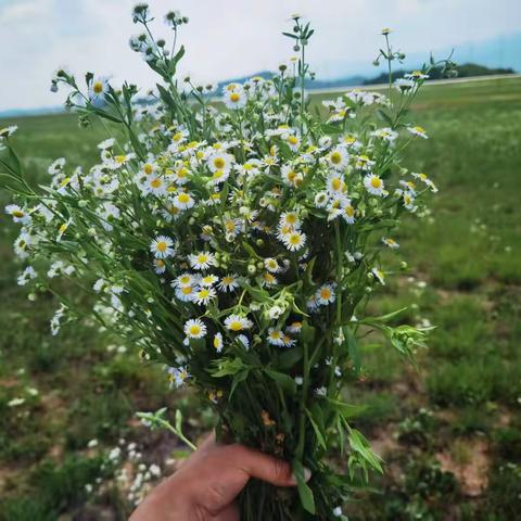 锦绣陇南·温暖相伴 ——陇南机场2025年暑运掠影（生活篇） ‍