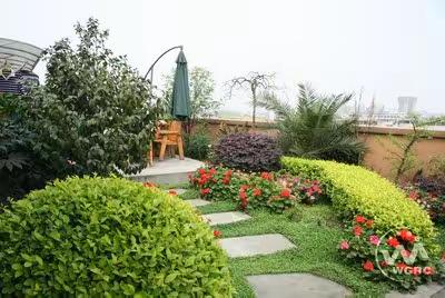 【班级好作文】仿写《祖父的园子》