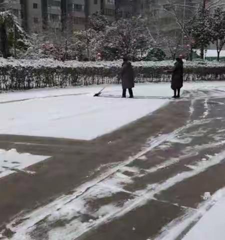 扫雪