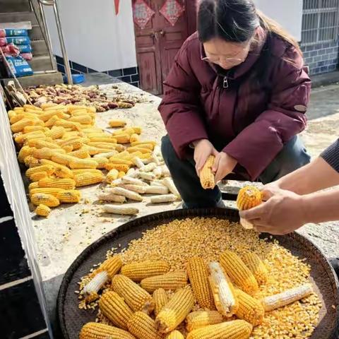 乡村秋日的家庭劳作时光