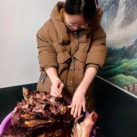春节乡居记