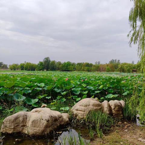 仲秋游曹田