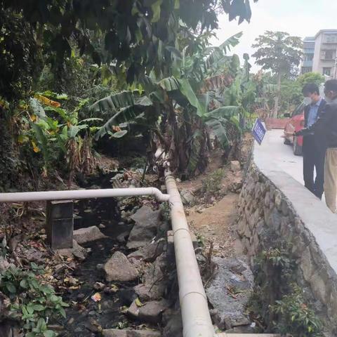 县自然资源和规划局党组书记、局长李永立实地督导矿山社区检查创文工作