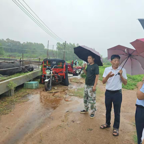 李永立局长到乌烈村调研乡村振兴产业情况