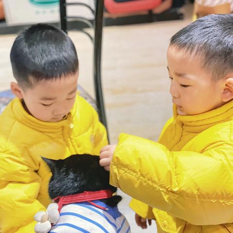 安安宁宁上学记