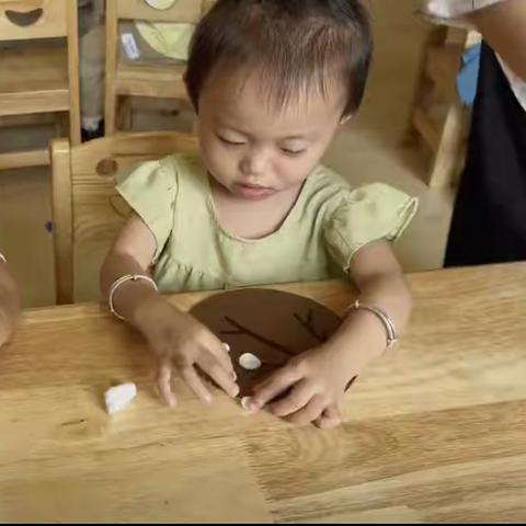 🌸海亮幼儿园🌸托一班🌸张紫妍🌸小朋友个人成长美篇