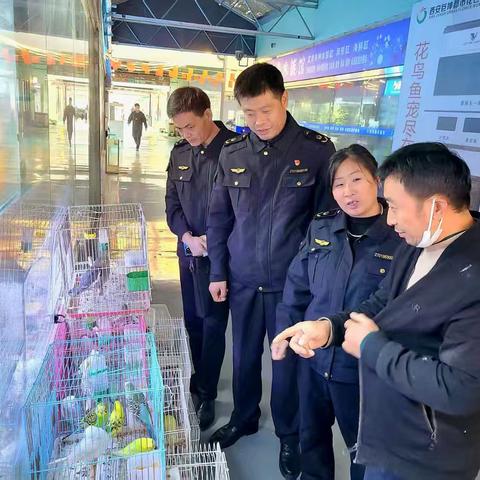 未央区市场监管局持续开展野生鸟类专项整治检查