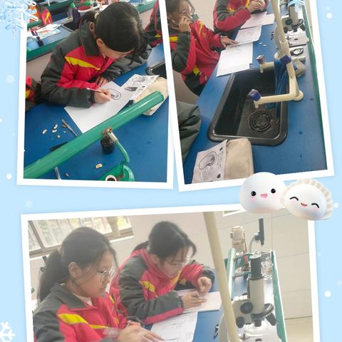 八年级生物特色汇报