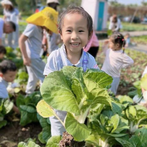 新世界凯粤湾实验幼儿园----围棋优秀小明星