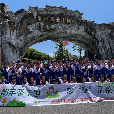 走进茶王国，小龙人化身“小茶农”—— 龙塘小学1902班